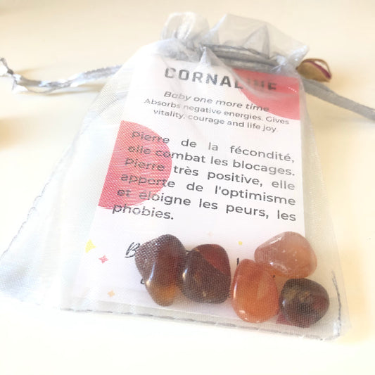 Carnelian Pouch - 5 Liberation Stones